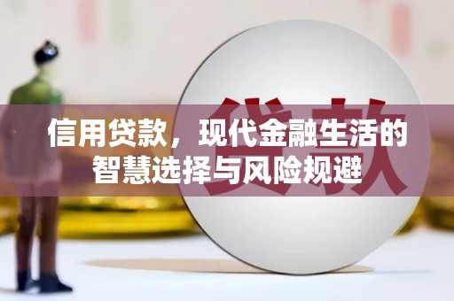 大东信用贷款，现代金融生活的智慧选择与风险规避