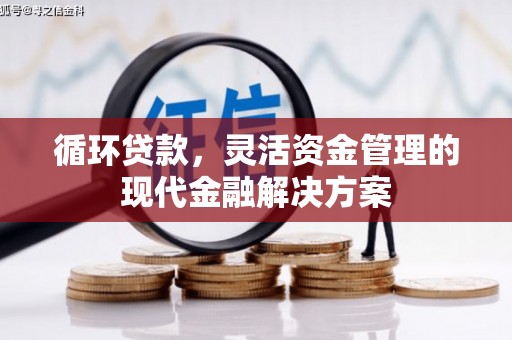 大东循环贷款，灵活资金管理的现代金融解决方案
