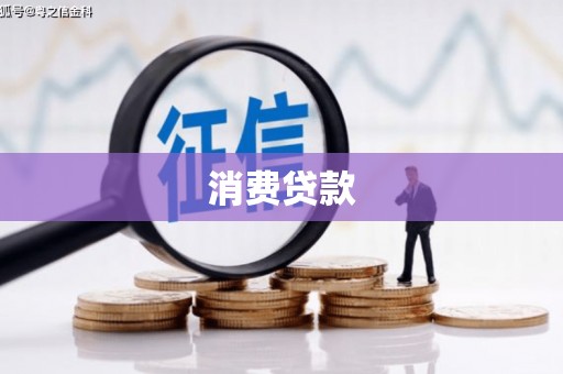 大东消费贷款
