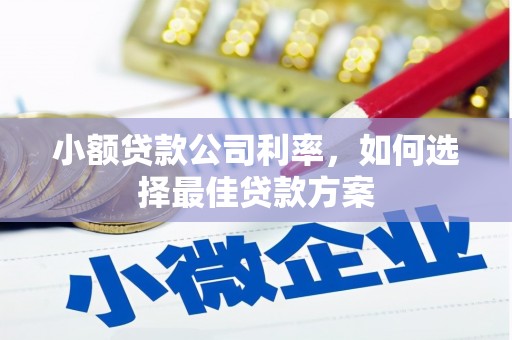 大东小额贷款公司利率，如何选择最佳贷款方案