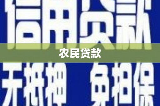 大东农民贷款