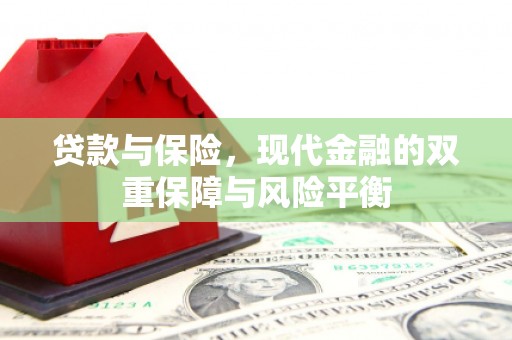 大东贷款与保险，现代金融的双重保障与风险平衡