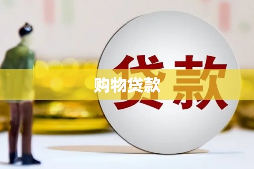 大东购物贷款