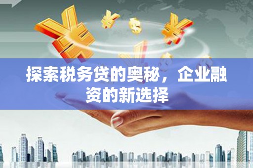 大东探索税务贷的奥秘，企业融资的新选择