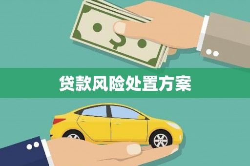 大东贷款风险处置方案