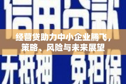 大东经营贷助力中小企业腾飞，策略、风险与未来展望