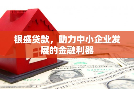 大东银盛贷款，助力中小企业发展的金融利器