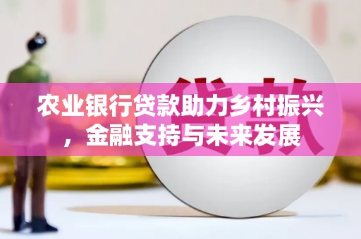 大东农业银行贷款助力乡村振兴，金融支持与未来发展