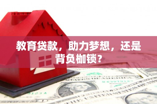大东教育贷款，助力梦想，还是背负枷锁？