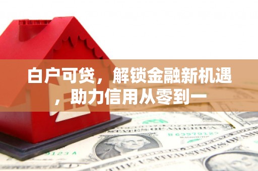 大东白户可贷，解锁金融新机遇，助力信用从零到一