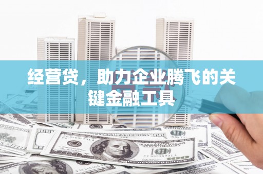大东经营贷，助力企业腾飞的关键金融工具