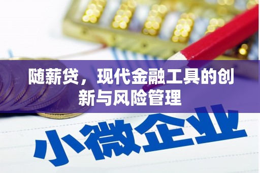 大东随薪贷，现代金融工具的创新与风险管理