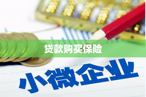 大东贷款购买保险