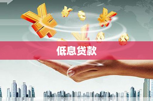 大东低息贷款