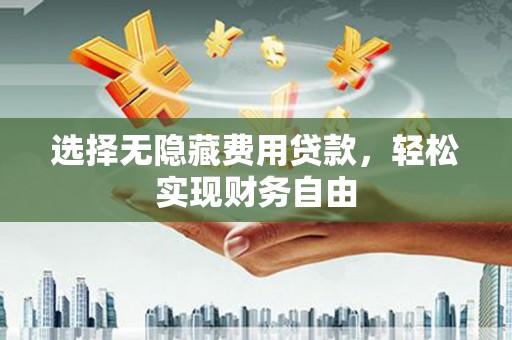 大东选择无隐藏费用贷款，轻松实现财务自由