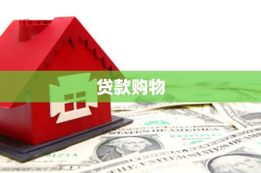 大东贷款购物