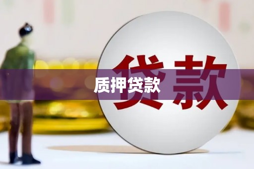 大东质押贷款