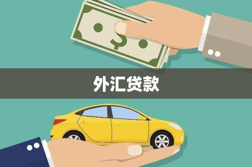 大东外汇贷款
