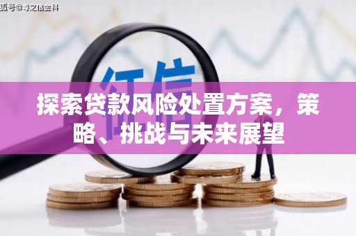大东探索贷款风险处置方案，策略、挑战与未来展望