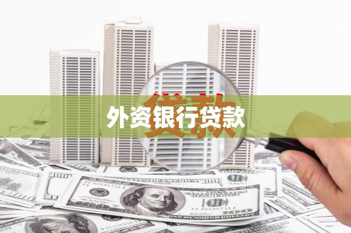 大东外资银行贷款