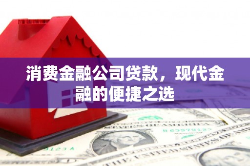 大东消费金融公司贷款，现代金融的便捷之选