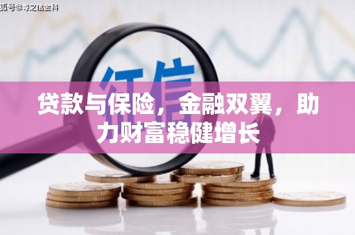 大东贷款与保险，金融双翼，助力财富稳健增长