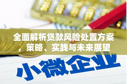 大东全面解析贷款风险处置方案，策略、实践与未来展望