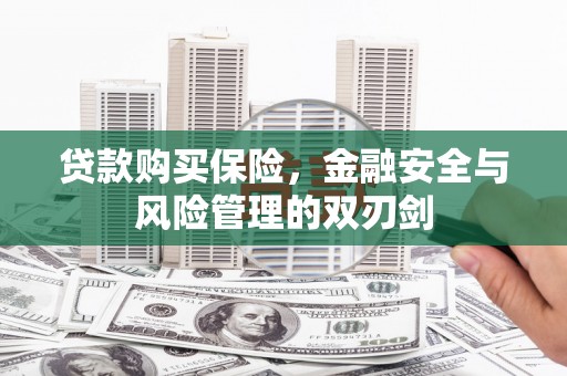 大东贷款购买保险，金融安全与风险管理的双刃剑