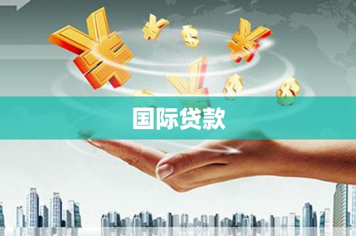 大东国际贷款