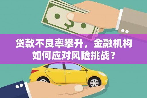 大东贷款不良率攀升，金融机构如何应对风险挑战？