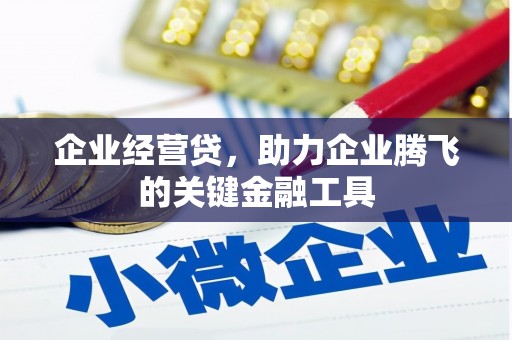 大东企业经营贷，助力企业腾飞的关键金融工具