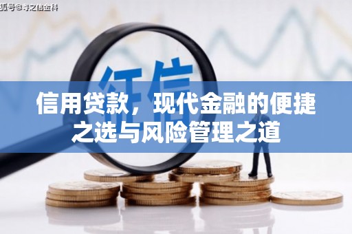 大东信用贷款，现代金融的便捷之选与风险管理之道