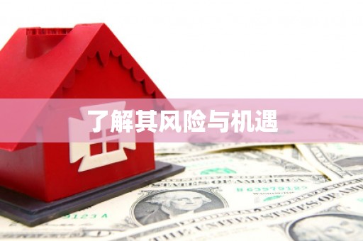 大东了解其风险与机遇