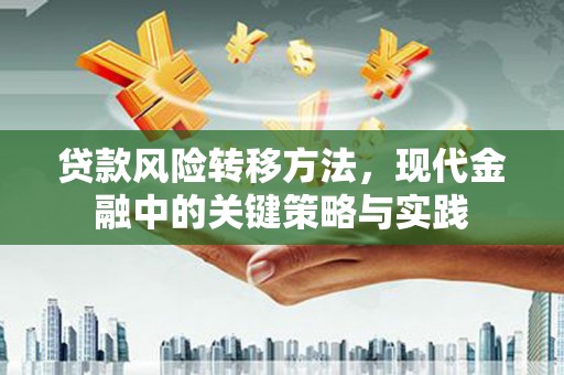 大东贷款风险转移方法，现代金融中的关键策略与实践