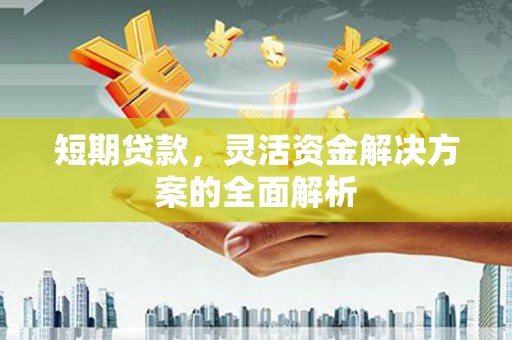 大东短期贷款，灵活资金解决方案的全面解析