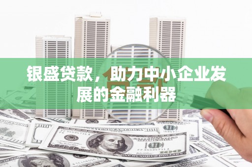 大东银盛贷款，助力中小企业发展的金融利器