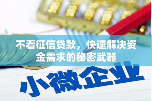 大东不看征信贷款，快速解决资金需求的秘密武器