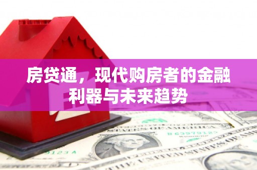大东房贷通，现代购房者的金融利器与未来趋势