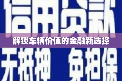 大东解锁车辆价值的金融新选择