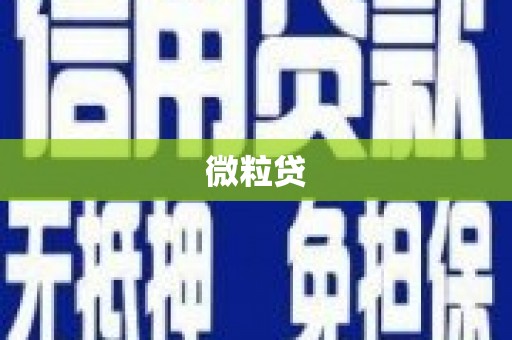 大东微粒贷