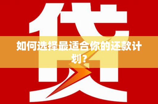 大东如何选择最适合你的还款计划？