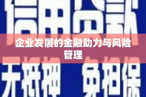 大东企业发展的金融助力与风险管理