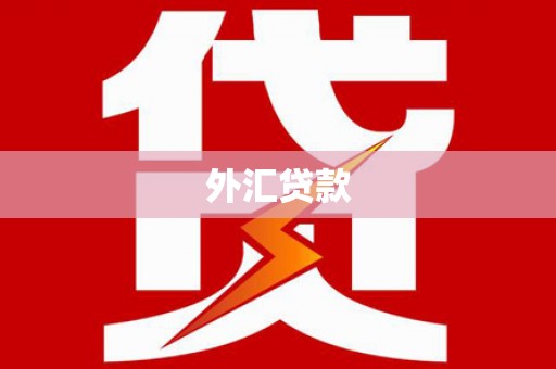 大东外汇贷款
