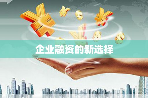 大东企业融资的新选择