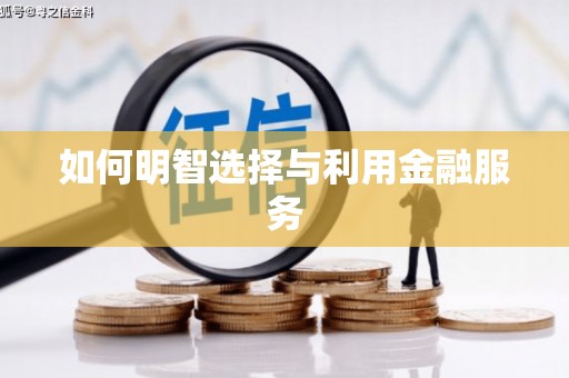 大东如何明智选择与利用金融服务