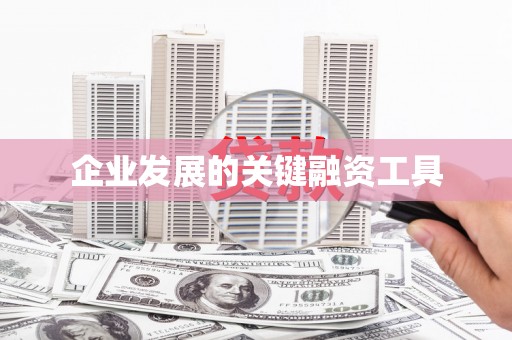 大东企业发展的关键融资工具