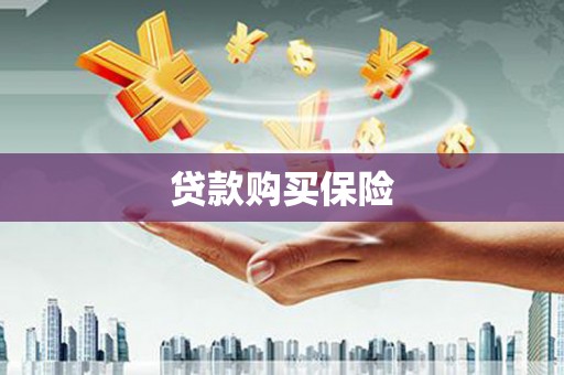 大东贷款购买保险