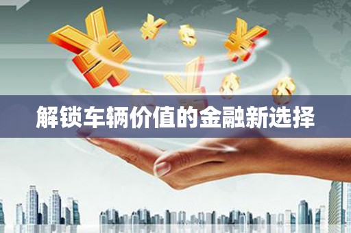 大东解锁车辆价值的金融新选择