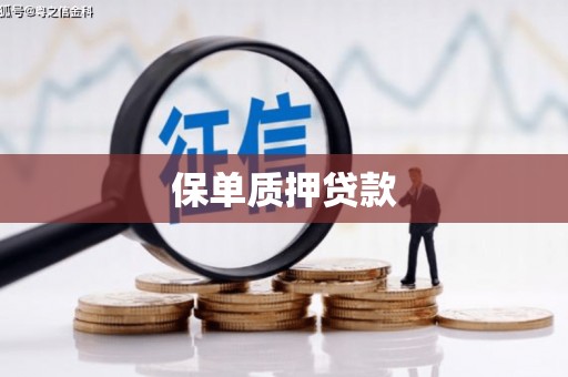 大东保单质押贷款