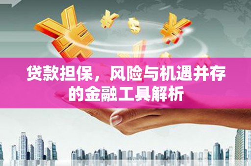 大东贷款担保，风险与机遇并存的金融工具解析